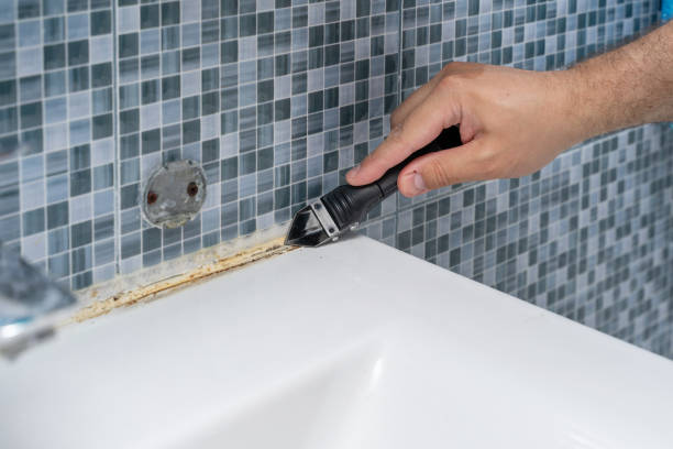 Best Certified Mold Removal  in Day Valley, CA