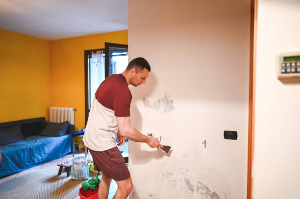 Professional Mold Removal in Day Valley, CA