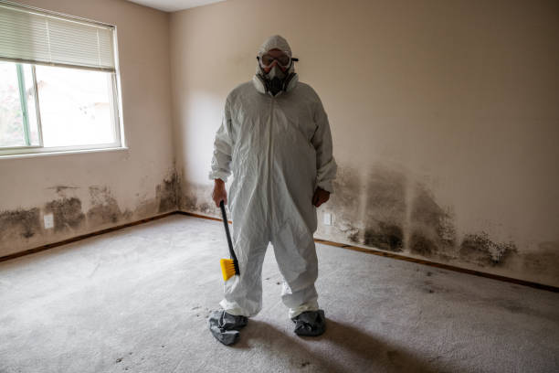 Best Commercial Mold Removal  in Day Valley, CA